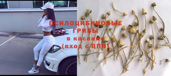 ешки Армянск