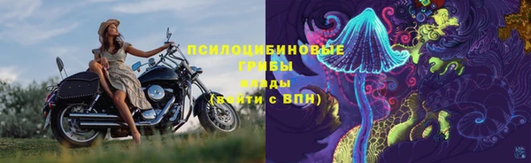 винт Аркадак