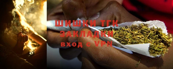 ГАЛЛЮЦИНОГЕННЫЕ ГРИБЫ Арсеньев