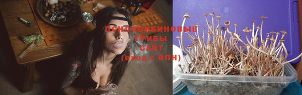 ГАЛЛЮЦИНОГЕННЫЕ ГРИБЫ Арсеньев