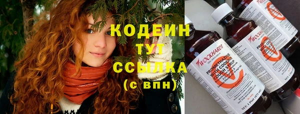 винт Аркадак