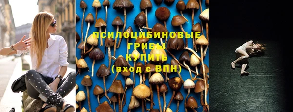 ГАЛЛЮЦИНОГЕННЫЕ ГРИБЫ Арсеньев