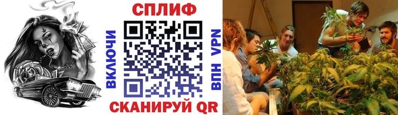 Каннабис индика  Артёмовский 